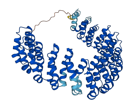 PPP2R1B 3D structure