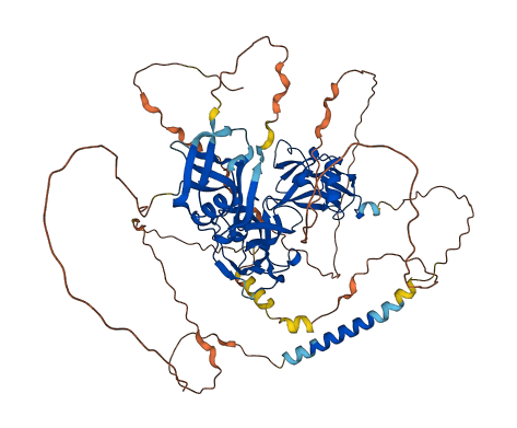 CD6 3D structure