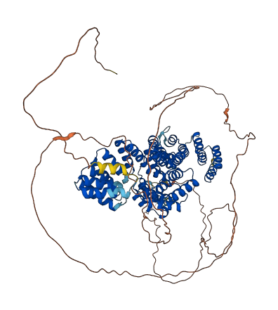 CDC27 3D structure