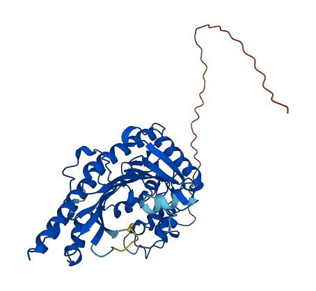 Ckmt1 3D structure