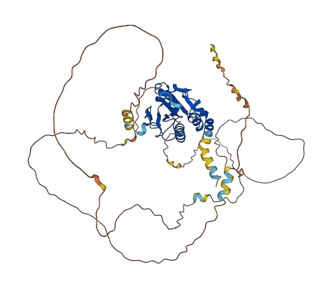 CDC25A 3D structure