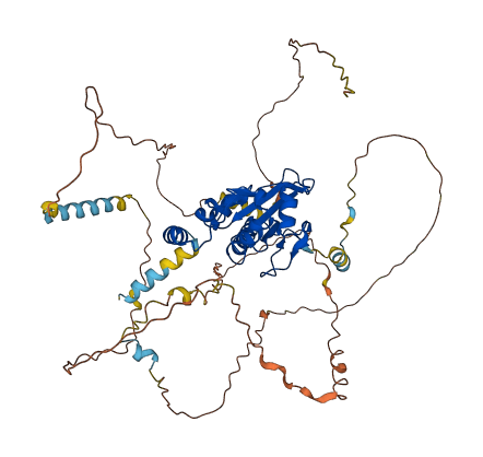 CDC25B 3D structure