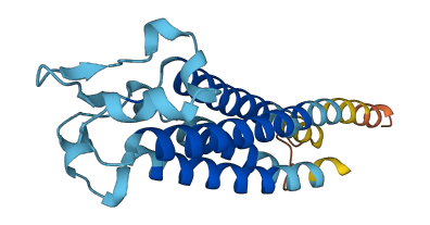 TM4SF1 3D structure