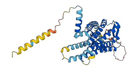 BDKRB2 3D structure