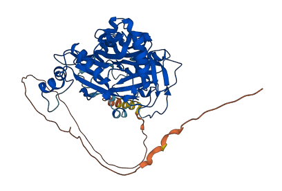 NMT1 3D structure