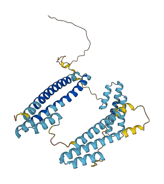 LRPAP1 3D structure
