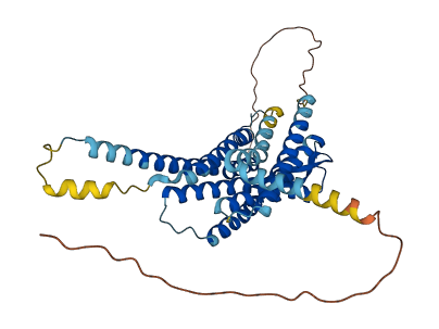 OXTR 3D structure