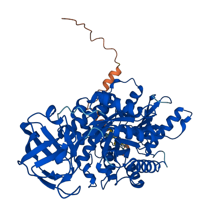 PKLR 3D structure