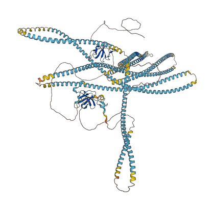 CLIP1 3D structure