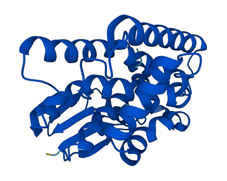 GSTT1 3D structure