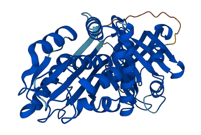 SERPINB1 3D structure