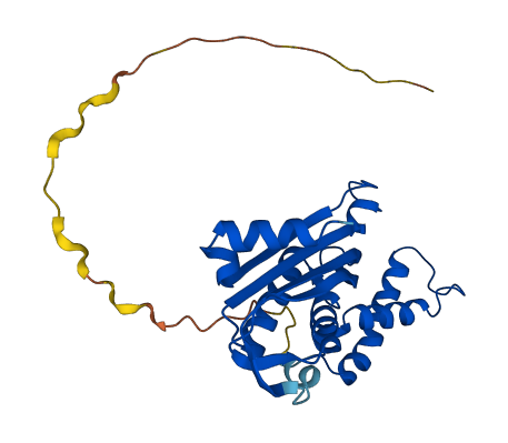 GCH1 3D structure