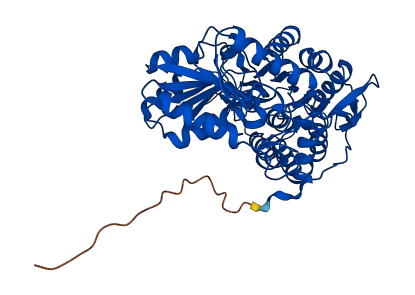 ALDH1B1 3D structure