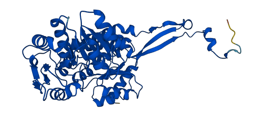 ALDH3A1 3D structure