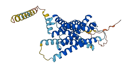 SSTR2 3D structure