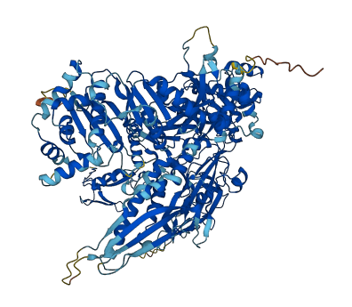 POLR2B 3D structure