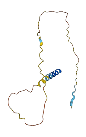 Svs5 3D structure