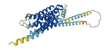 HTR1F 3D structure