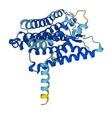 OR1E1 3D structure