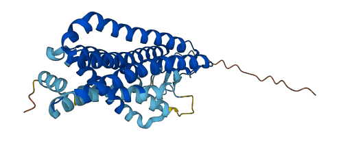OR10J1 3D structure