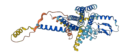 CALCR 3D structure