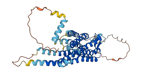NTSR1 3D structure
