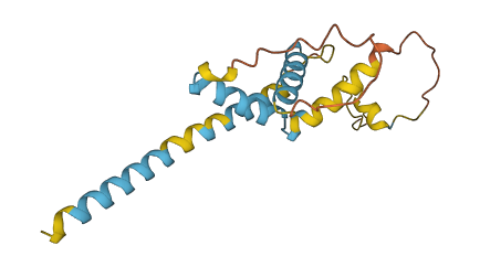 NTS 3D structure