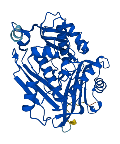 MAT2A 3D structure