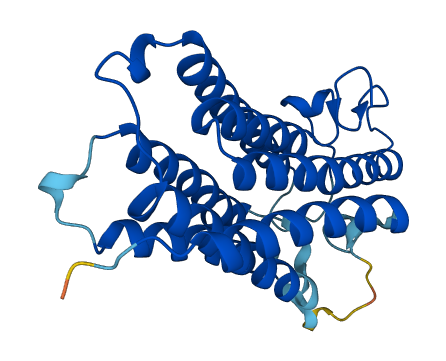 SRD5A2 3D structure