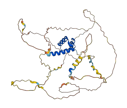 HOXD3 3D structure