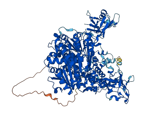 Uba1y 3D structure