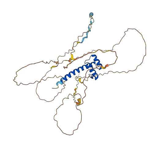HOXA10 3D structure
