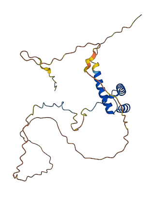 HOXA6 3D structure