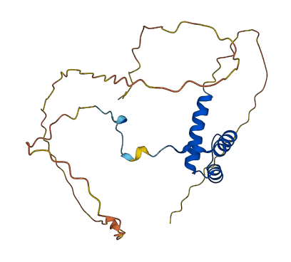 HOXA7 3D structure