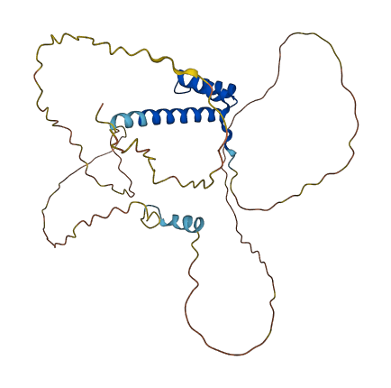 HOXA11 3D structure