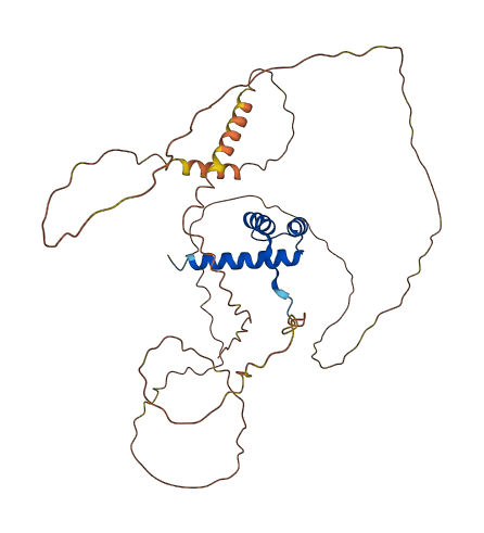 HOXA13 3D structure
