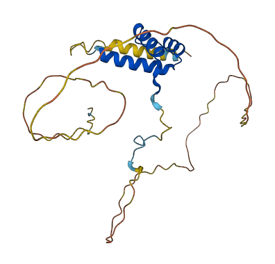 HOXC8 3D structure