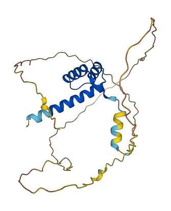 HOXC9 3D structure