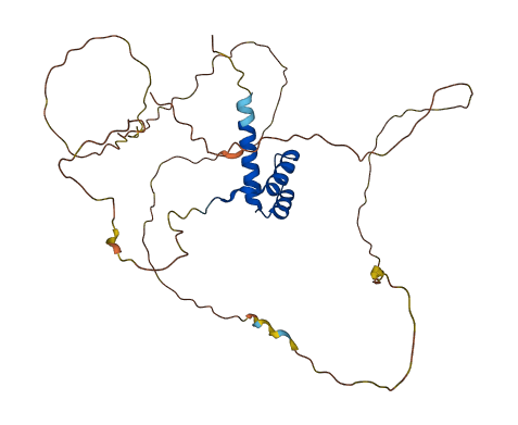 HOXC13 3D structure