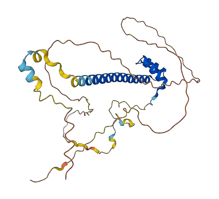TLX1 3D structure