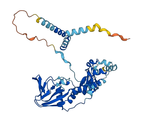 PRKAR1B 3D structure