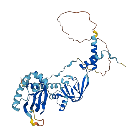 PRKAR2B 3D structure