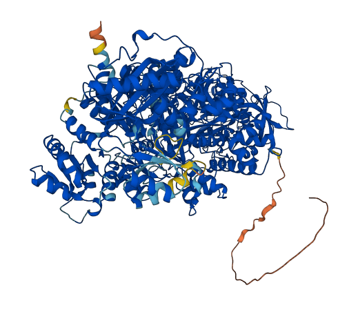CPS1 3D structure