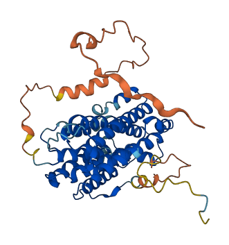 RRM2 3D structure