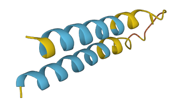 CD52 3D structure