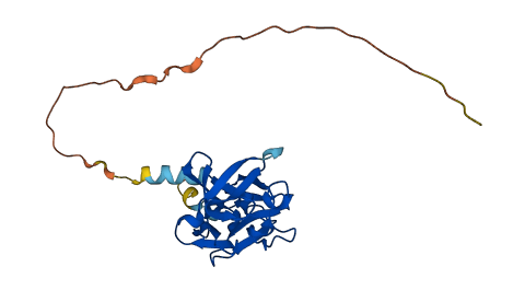 FGF9 3D structure