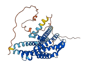SSTR4 3D structure