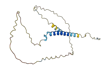 SDC4 3D structure