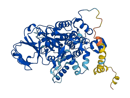 FMO4 3D structure