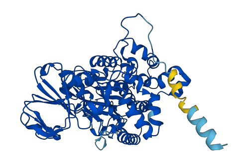 FMO3 3D structure